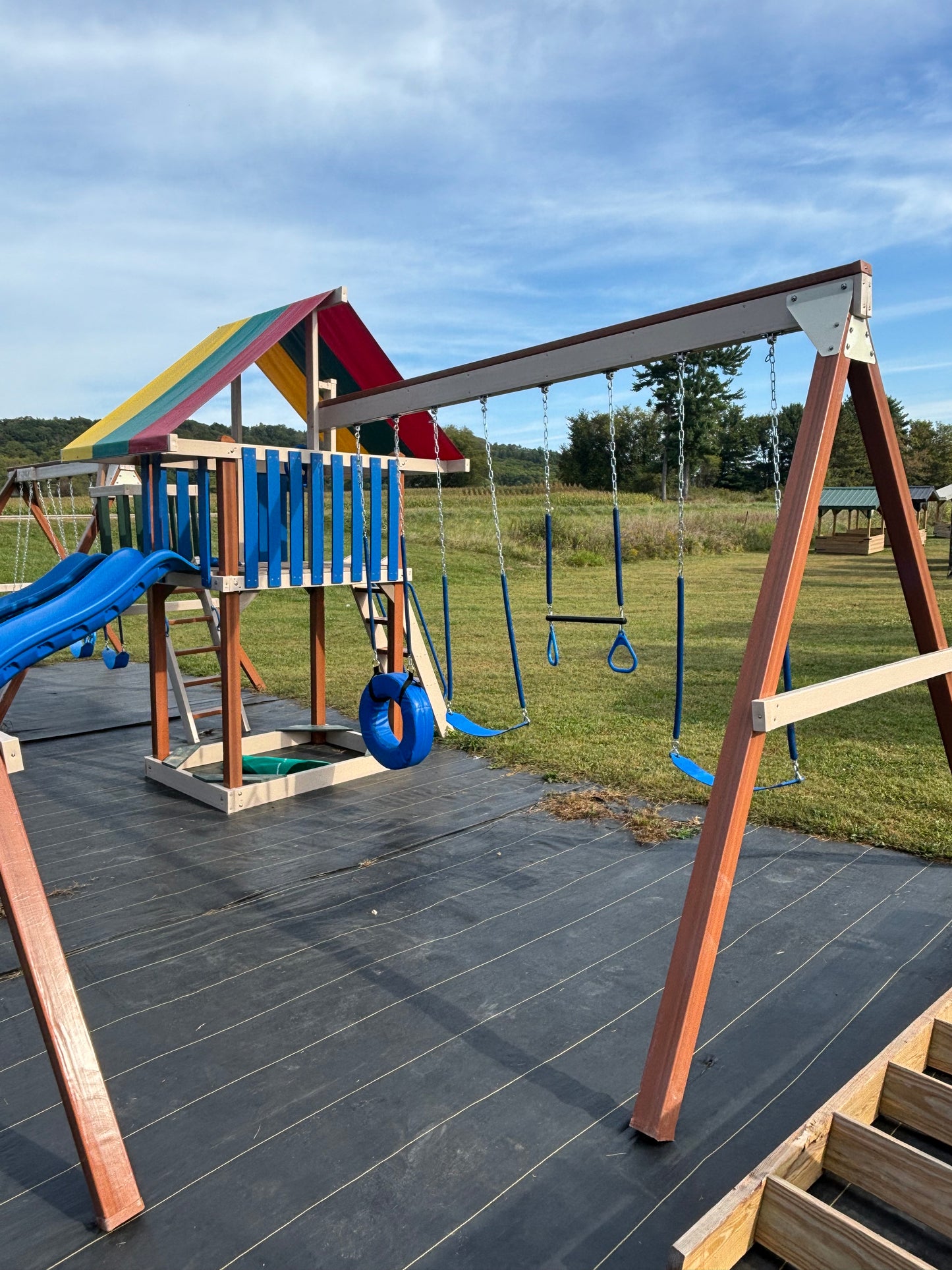 Family Joy Swing Set