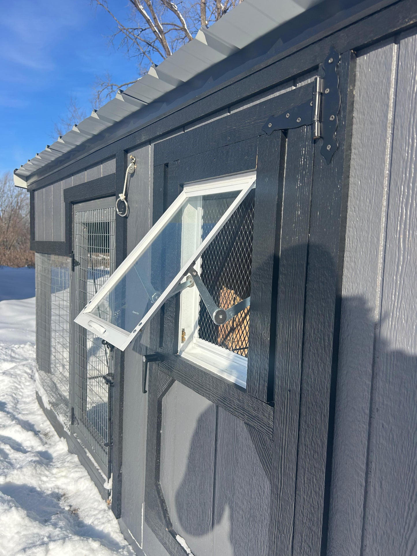 4’ x 9’ Rabbit Hutch