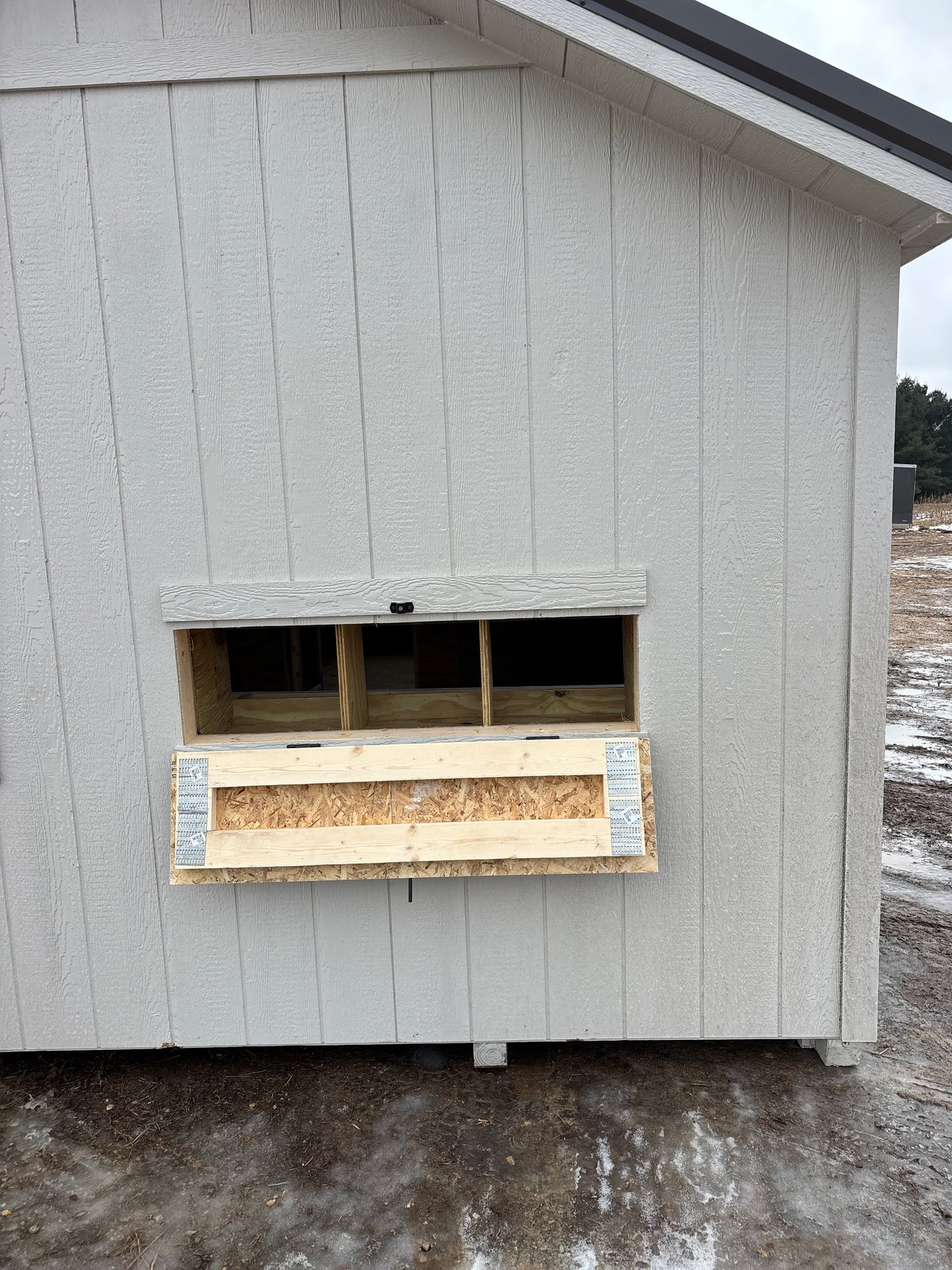 Hen Haus Chicken Coops