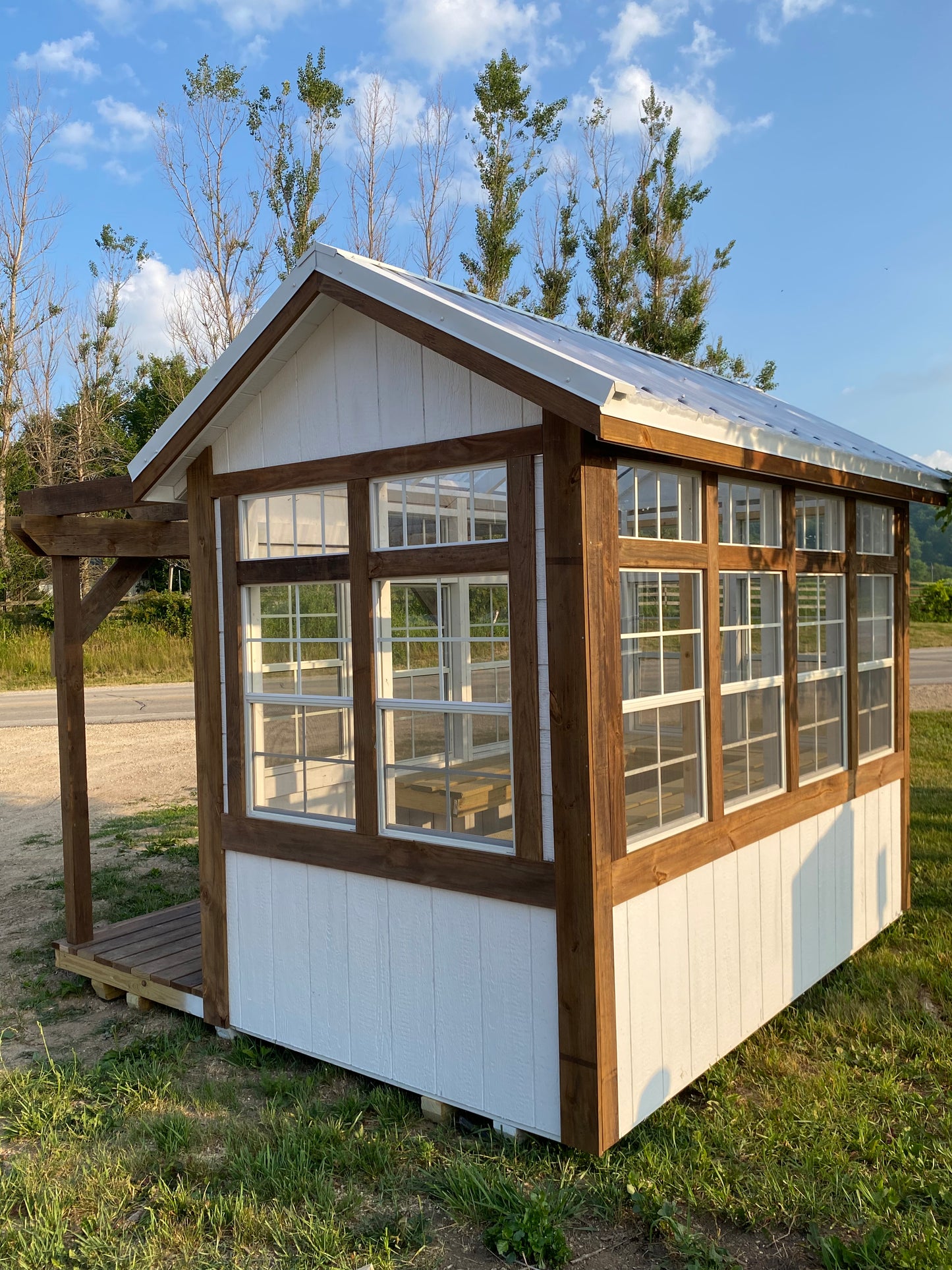 10'X10' Deluxe Greenhouse